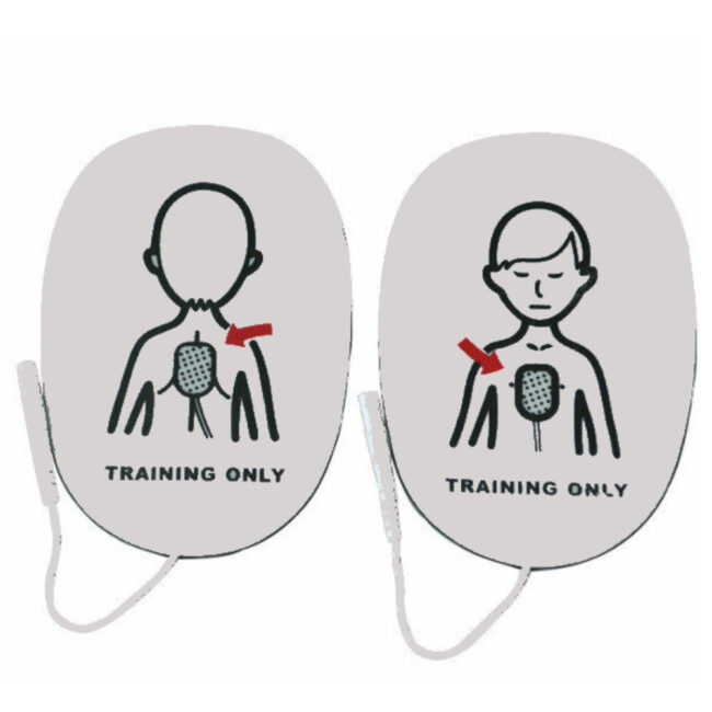 Trainer pads cheap