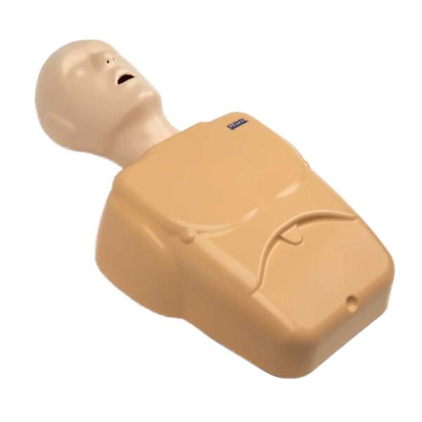 Adult/Child Manikin Tan